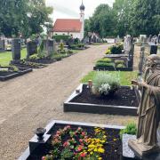Im Friedhof in Wertingen sind an manchen Orten bereits leere Flächen entstanden, die nicht mehr als Grab genutzt werden. Der Stadtrat beschloss, dass dort Bäume gepflanzt und Sitzmöglichkeiten geschaffen werden sollen. 