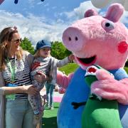 Anfassen erlaubt: Ein Kind macht Bekanntschaft mit der Wutz-Familie im neuen Peppa-Pig-Park.