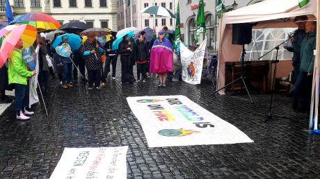 
Einen Klimastreik organisierte die Augsburger Ortsgruppe von "Fridays for Future" am Freitag auf dem Rathausplatz.