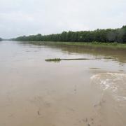 Die Donau rückt zunehmend in den Fokus des Hochwassergeschehens.