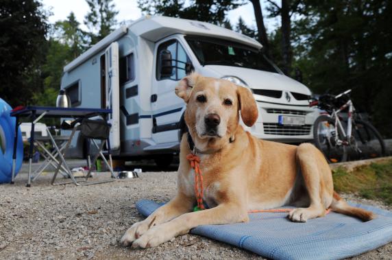 Urlaub im Wohnmobil: Die besten Tipps für Camping-Anfänger: Nicht