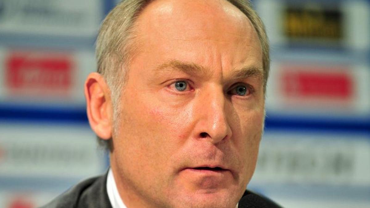Hoffenheim Manager