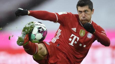 Bayern-Stürmer Robert Lewandowski hofft auf Treffer Nummer 41.