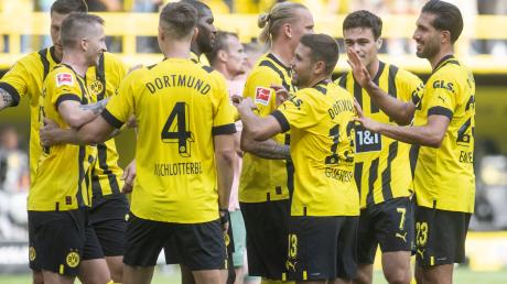 Die Spieler von Borussia Dortmund hoffen gegen Hoffenheim auf einen Mutmacher-Sieg für die kommende Terminhatz.