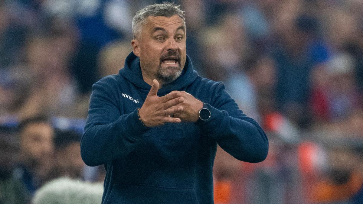 #Bericht: Reis wird neuer Schalke-Trainer