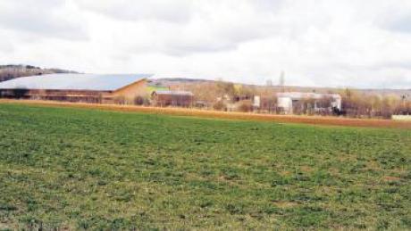 Dieses Grundstück im Süden Lutzingens will die Gemeinde für eine Neugründung einer Firma kaufen. Im Etat sind dafür 100000 Euro eingestellt.