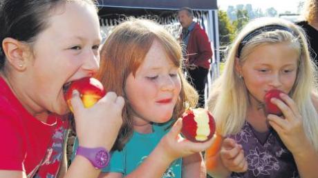 Beim dritten Holzheimer Apfelfest drehte sich nicht nur alles um das knackige Obst, es durfte auch probiert werden. Franziska Grob, Elena Grob und Isabel Waldenmayr (von links) ließen sich das nicht zweimal sagen. 