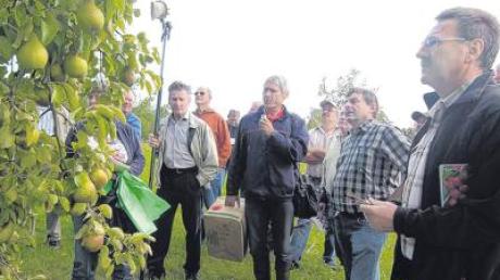 Die Mitglieder der Obst- und Gartenbauvereine Lutzingen und Unterliezheim besuchten die Streuobstwiesen in Lutzingen. 
