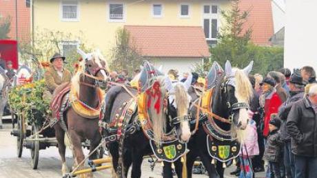 Prächtige Gespanne werden am Sonntag beim Leonhardiritt in Unterliezheim erwartet. 
