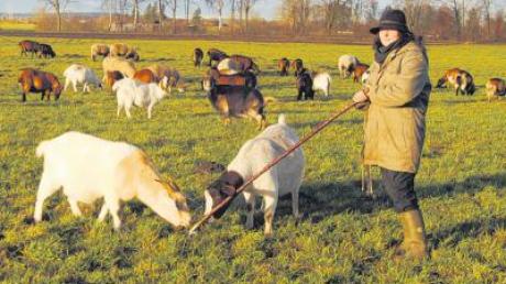 Die Schäferin Catrin Kramer aus dem Landkreis Dillingen ist das Jahr immer bei ihrer Herde - wie einst die Hirten bei Bethlehem.
