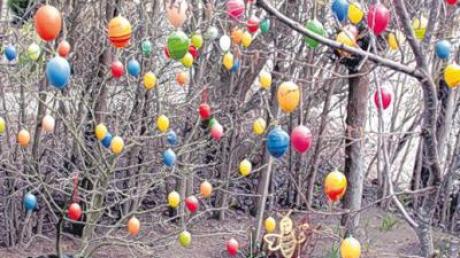 Über 200 bunte Ostereier hängen am Baum bei Karl-Heinz Pohin in der Richwinallee in Hausen. 