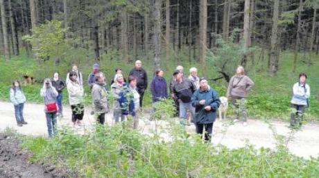 Die Tannenmeise, den Buntspecht und den Uhu konnten die 20 Teilnehmer der Vogelstimmenwanderung des Zöschinger NABU unter der Leitung von Georg Holzheu hören.  