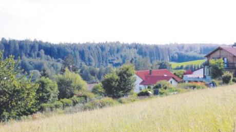 Rund zwei Kilometer weit im Wald stehen die geplanten Windräder auf Holzheimer Gemeindegebiet. Im Bild sind Häuser von Fultenbach zu erkennen. 