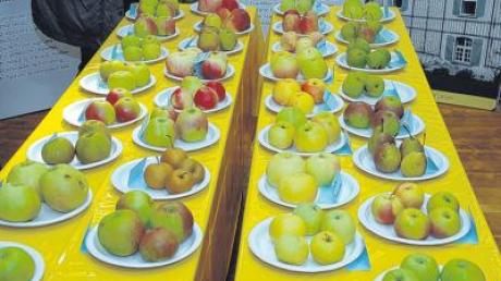 Äpfel und Kartoffeln stehen am Sonntag im Bächinger Mooseum im Mittelpunkt des Marktes.  