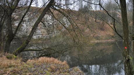 Wiese statt Gestrüpp: Der Steinbruch am Radweg durch Wittislingen soll jetzt von wuchernden Sträuchern und Bäumen teilweise befreit werden. So kann eine Magerwiese entstehen, wie es sie vor rund 40 Jahren dort gab.  