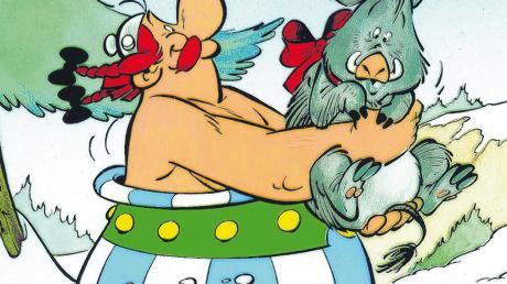Obelix hätte seine wahre Freude an dieser Nachricht: Die Zahl der Wildschweine im Landkreis Dillingen ist gestiegen. Alle Abenteuer von Asterix und Obelix (Band 0-34) sind in deutscher Sprache beim Egmont Ehapa Verlag erschienen. Die Softcover-Ausgaben sind im Zeitschriften- und Bahnhofsbuchhandel für jeweils 6,50 Euro erhältlich. 