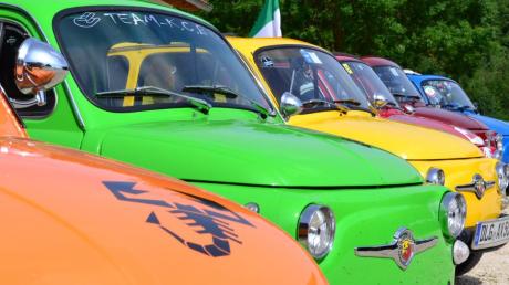 In Reih und Glied stehen die “Knutschkugeln“ auf dem Stettenhof, auf dem sich dieses Wochenende viele Fiat-500-Fans treffen.  
