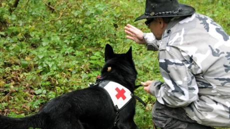 „Such!“: Gemeinsam mit der Rettungshundestaffel des Bayerischen Roten Kreuzes in Günzburg übte die Jugendfeuerwehr Dillingen am Samstag auf dem Dillinger Bundeswehrübungsgelände. 
