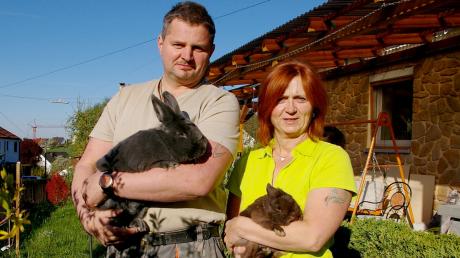 Kathrin und Uwe Schädlich aus Oberliezheim haben als leidenschaftliche Kaninchenzüchter bereits an einigen Wettbewerben teilgenommen und mit ihren Züchtungen „Blaue Wiener“ und „Farbzwerge Havanna“ einige Preise gewonnen.  

