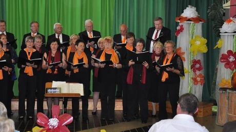 Die Chorgemeinschaft Wittislingen bot ein vielfältiges Programm beim Frühjahrskonzert. 