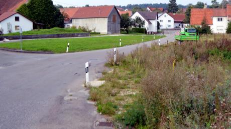 Der Bebauungsplan für die Oberbechinger Straße wurde in der jüngsten Sitzung des Wittislinger Gemeinderates diskutiert. Noch wachsen Büsche und Sträucher dort, wo bald ein Pflegeheim stehen soll.  

