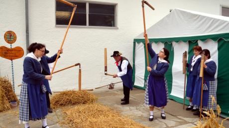 Die Dreschflegel-Gruppe aus Bocksberg zeigte, wie man früher die Getreidekörner vom Stroh getrennt hat. Schon zweimal wurde die Gruppe Bayerischer Meister. 