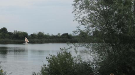 Eine grüne Wiese und viele Büsche: So sieht’s am Neuhofsee aus.  	