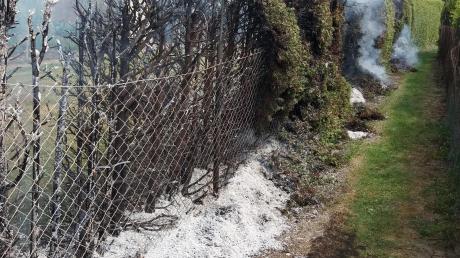 Eine Hecke zwischen Lauingen und Gundremmingen brannte auf einer Länge von 25 Metern ab.