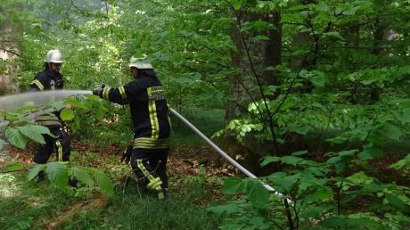 Die Feuerwehr musste im Wald einen Holzpolter löschen