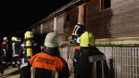 In Bissingen ist am Mittwochabend ein Schweinestall in Brand geraten. Ein Großaufgebot an Feuerwehrleuten war im Löscheinsatz. 