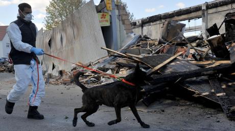 Mit dem Brandmittelspürhund Califax untersuchte die Kriminalpolizei am Mittwoch noch einmal die Ruine der Höchstädter Edeka-Filiale. Die Kripo geht nach wie vor von Brandstiftung aus. 	
