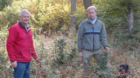 Johann Stuhlenmiller (links) und Marc Koch in einer Lichtung mit erfolgreicher Naturverjüngung. Im Hintergrund eine Windwurflücke, die mit Eiche, Buche und Bergahorn aufgeforstet wurde.  	
