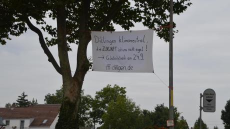 Dieses Plakat wurde in Dillingen an der Großen Allee in der Nacht auf Freitag aufgehängt.  	
