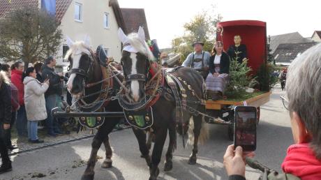 Die Gespanne mit den prachtvoll geschmückten Pferden und Wägen begeisterten die Zuschauenden beim Umzug am Sonntag in Unterliezheim.