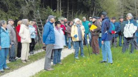 Natur pur in der Region: Die Senioren-Wanderung des Regionalvereins SoMit führte rund um Daiting. 