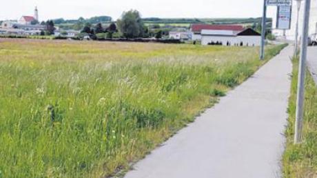 Auf diesem etwa drei Hektar großen Areal am Stadelmüllerweg will die Stadt Wemding ein neues Gewerbegebiet ausweisen. 