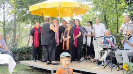 Die Rentnerband mit Heimchor unterhielt die Besucher beim Sommerfest im Garten der Außenwohngruppen in Donauwörth mit Musik und Gesang.