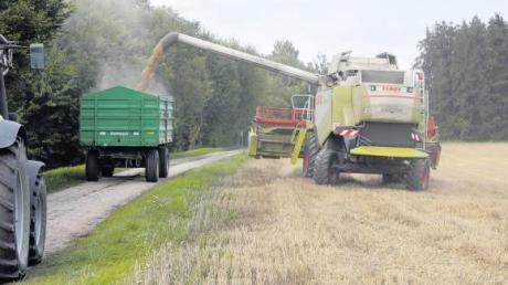 Landwirte im Erntestress: Jede Trockenphase nützen sie, wie hier in Nordheim, um das Getreide zu ernten.  