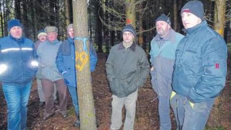 Im Wald – wo auch sonst – informierten sich die Mitglieder der Waldbesitzervereinigung über die Auswirkungen des Klimas auf die Bäume. 