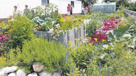 Ein wahres Pflanzenparadies ist der Garten von Stephan Hugl und Angelika Braun in Münster. Davon überzeugten sich viele Besucher beim „Tag der offenen Gartentür“.  