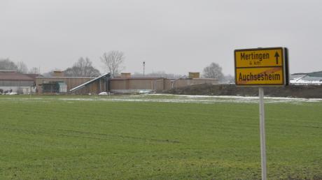 Unweit der Ortsausfahrt Auchsesheim Richtung Mertingen steht diese Biogasanlage. Der Betreiber will erweitern und hat Antrag auf Genehmigung gestellt. Nur mit Einschränkungen hat die Stadt nun ihr Einverständnis gegeben.  