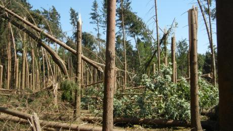 So sah es nach dem Sturm im August an vielen Stellen im Monheimer Stadtwald aus. 