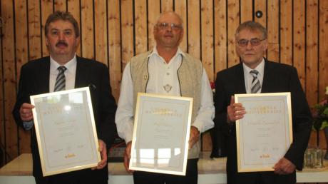 Drei verdiente Handwerksmeister erhielten Goldene Meisterbriefe: (von links) Andreas Geiger, Josef Dauser und Wendelin Emmendörfer.