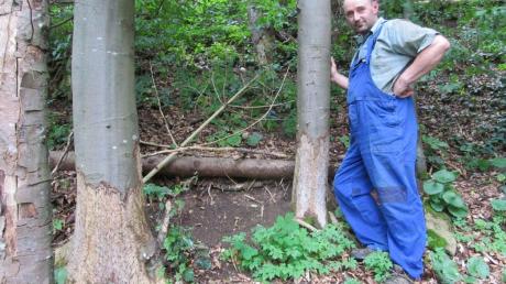 Waldbesitzer Bernd Buser fürchtet um den Wert seines Waldes. Denn Bibern schmecken die nahe der Wörnitz stehenden Bäume. 
