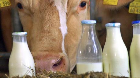 Was bekommen die Milchbauern in Zukunft noch für einen Liter Milch? Diese Frage treibt die Landwirte derzeit um. Gerade die wirtschaftlichen Einbußen durch die Sperrung des russischen Marktes sind spürbar – auch in der Region. 