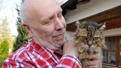Pummel ist wieder zu Hause in Kaisheim. Wie durch ein Wunder hat die kranke, ausgebüxte Katze überlebt.