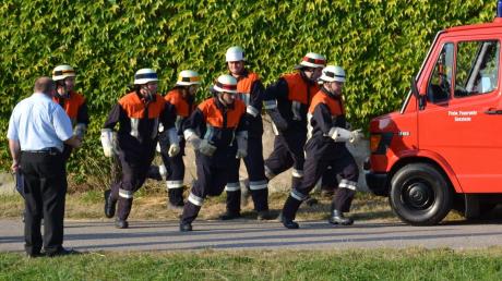 Einige Mitglieder der Freiwilligen Feuerwehr Gansheim absolvierten erfolgreich die Leistungsprüfung.  	
