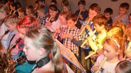Mit einem Großaufgebot an jungen Musikerinnen und Musikern konnte das Konzert in der Grundschule Fünfstetten-Gosheim beim Publikum punkten.  	 	