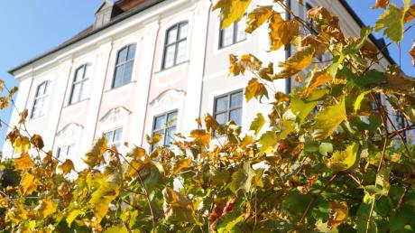 Am Hang bei Schloss Leitheim sollen bald wieder Reben wachsen. Die Messerschmitt-Stiftung plant einen „Weinberg“. 
