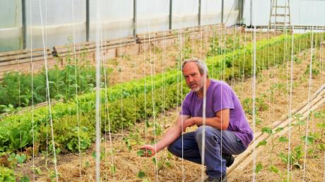 Gemüseanbauer Matthias Funk aus Oberndorf entwickelt einen neuen Lösungsansatz, um konkurrenzfähig zu bleiben. 